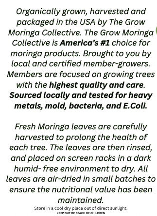 Moringa1 -Boost your daily wellness routine