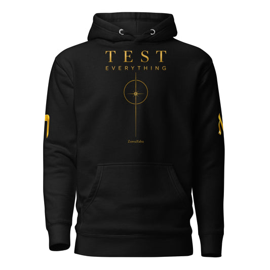 Test Everything unisex hoodie and heavyweight tee